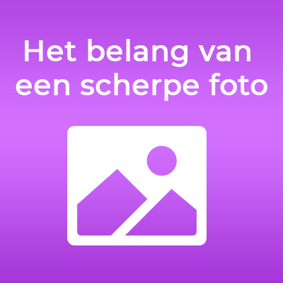 Waarom een scherpe foto essentieel is voor jouw lijntekening