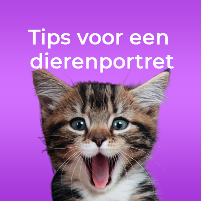 Welke foto's werken het best voor een dierportret?
